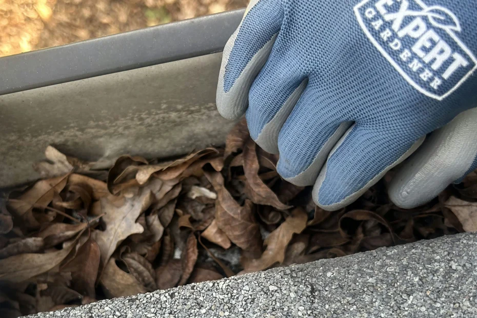 Gutter Cleaning Basehor, KS