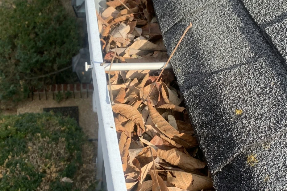 Gutter Cleaning Basehor, KS